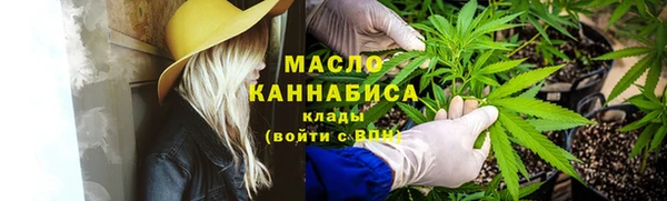 дмт Володарск