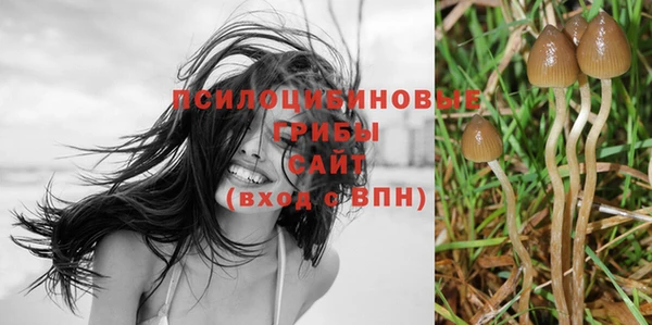 дмт Володарск